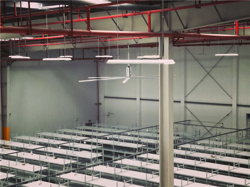 大風扇工業(yè)供應商/ 大風扇工業(yè)供應商